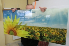 IMG_1045_resize